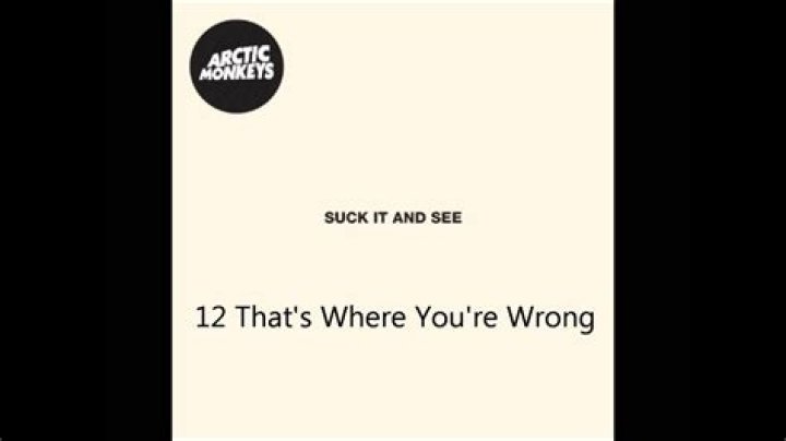 Arctic Monkeys That's Where You're Wrong Lyrics