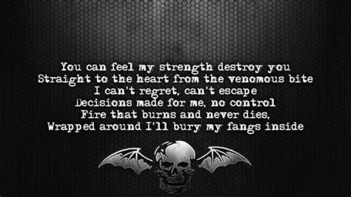 Avenged Sevenfold - Sidewinder Lyrics Meaning
