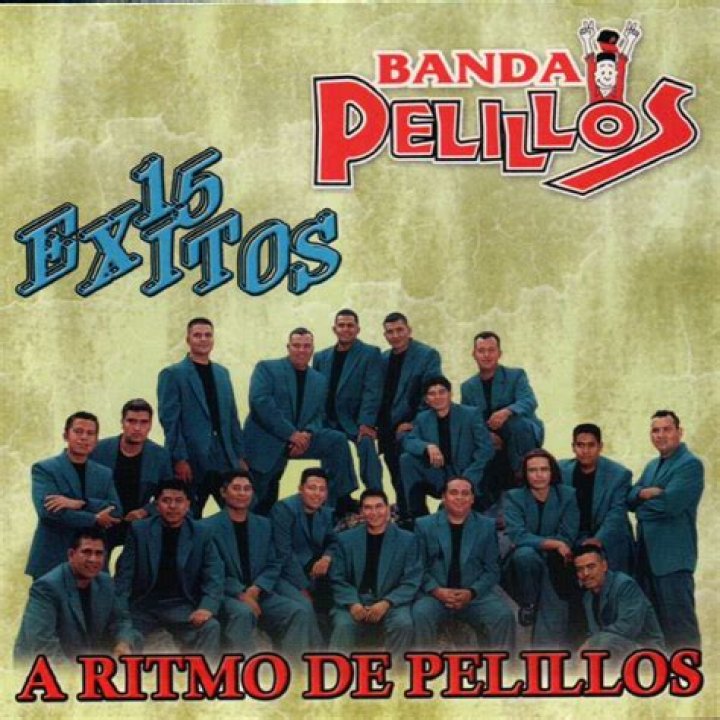 Banda Pelillos Te ExtraÑaré Lyrics English Translation