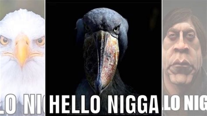 Big nigha in my ass lyrics