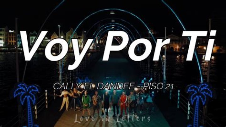 Cali Y El Dandee Voy Por Ti Lyrics English Translation