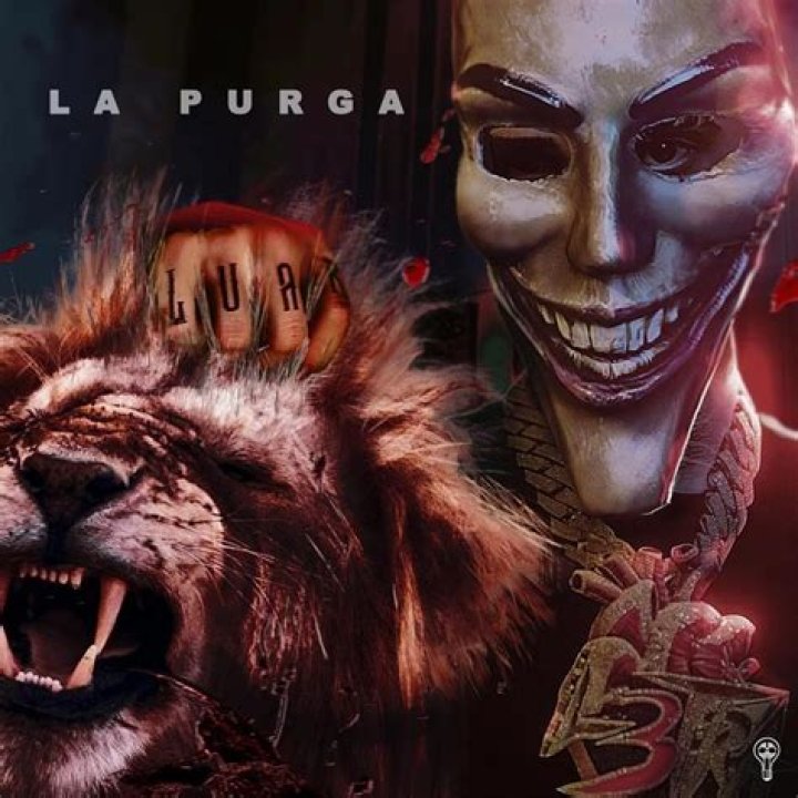 Custom La Purga Lyrics English Translation