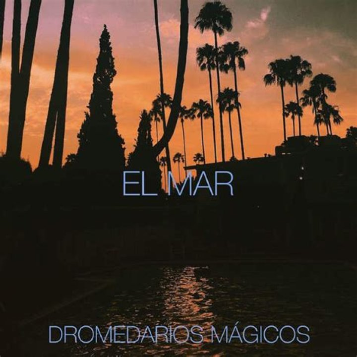 Dromedarios Mágicos A Dónde Vamos? Lyrics English Translation