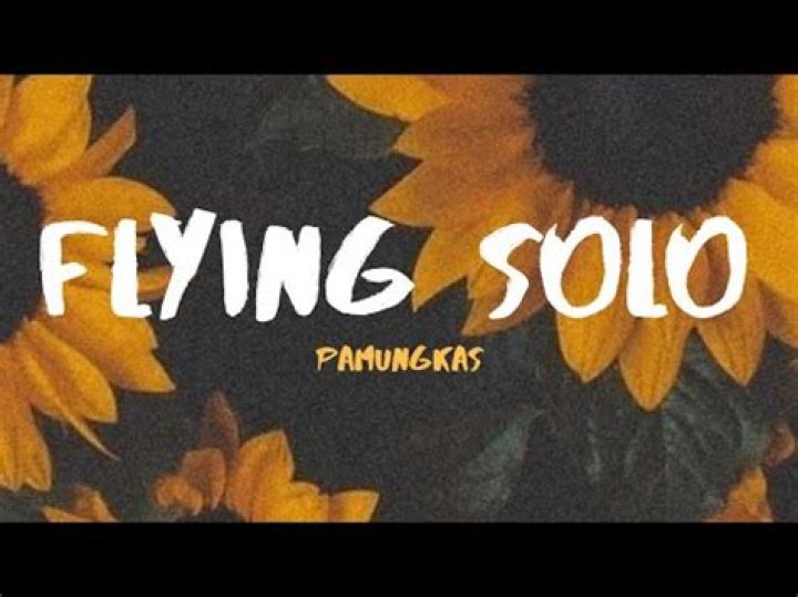 Flying solo lyrics