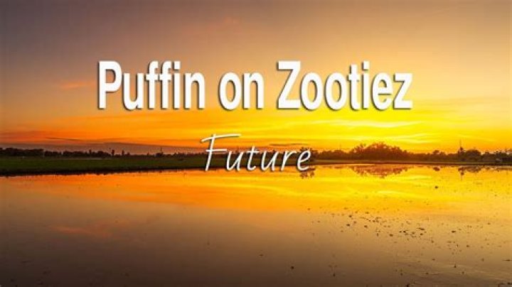 Future PUFFIN ON ZOOTIEZ Lyrics