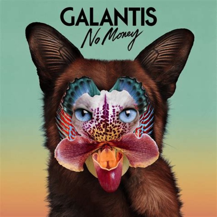 Galantis - No Money Lyrics Meaning