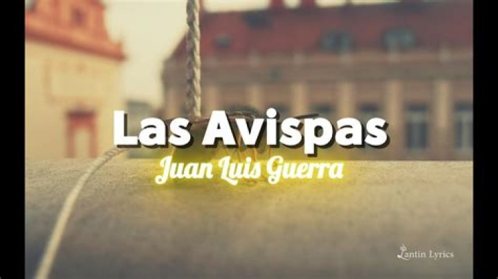 Juan Luis Guerra Las Avispas Lyrics English Translation