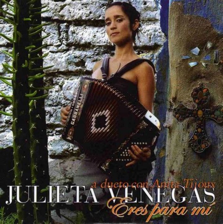 Julieta Venegas Eres Para Mi Lyrics English Translation