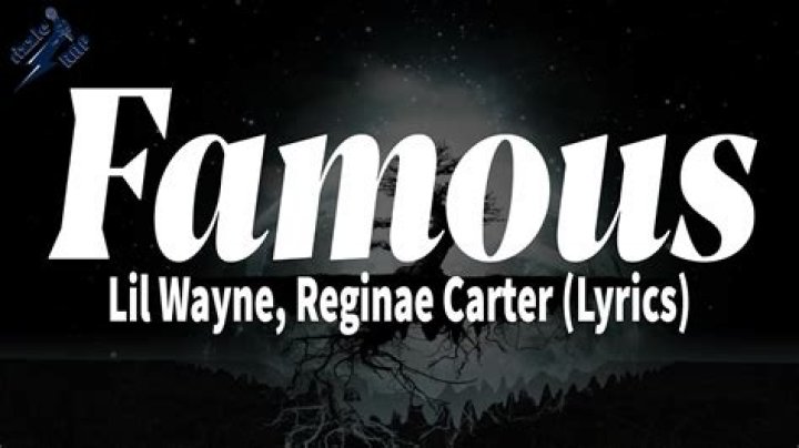 Lil Wayne - Famous Lyrics Meaning