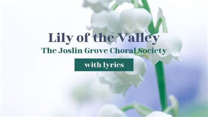 Lily of the Valley Lyrics Meaning