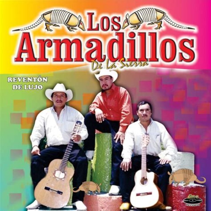 Los armadillos de la sierra Camilo y carlos Lyrics English Translation