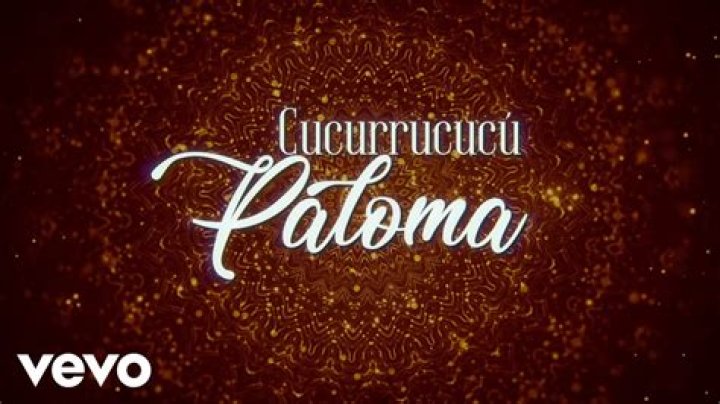 Majo Aguilar Cucurrucucú Paloma Lyrics English Translation