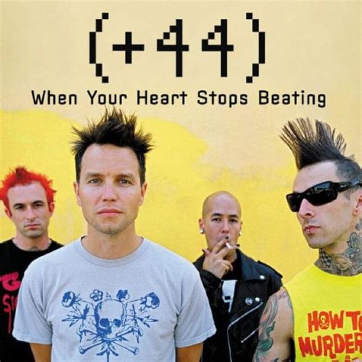Plus 44 - When Your Heart Stops Beating Lyrics Meaning