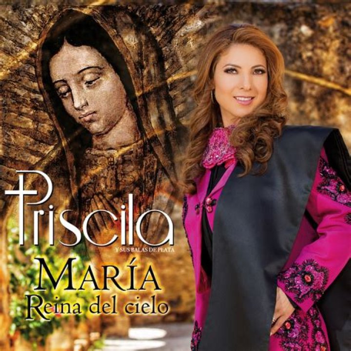 Priscila y Sus Balas de Plata Adios, Adios Amor Lyrics English Translation