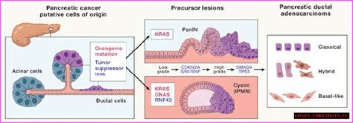 Sekeena Gavagan Death: A Beacon of Justice Succumbs to Pancreatic Cancer