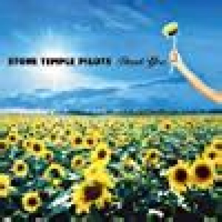 Stone Temple Pilots - Creep (Half the Man I Used to Be) Lyrics Meaning