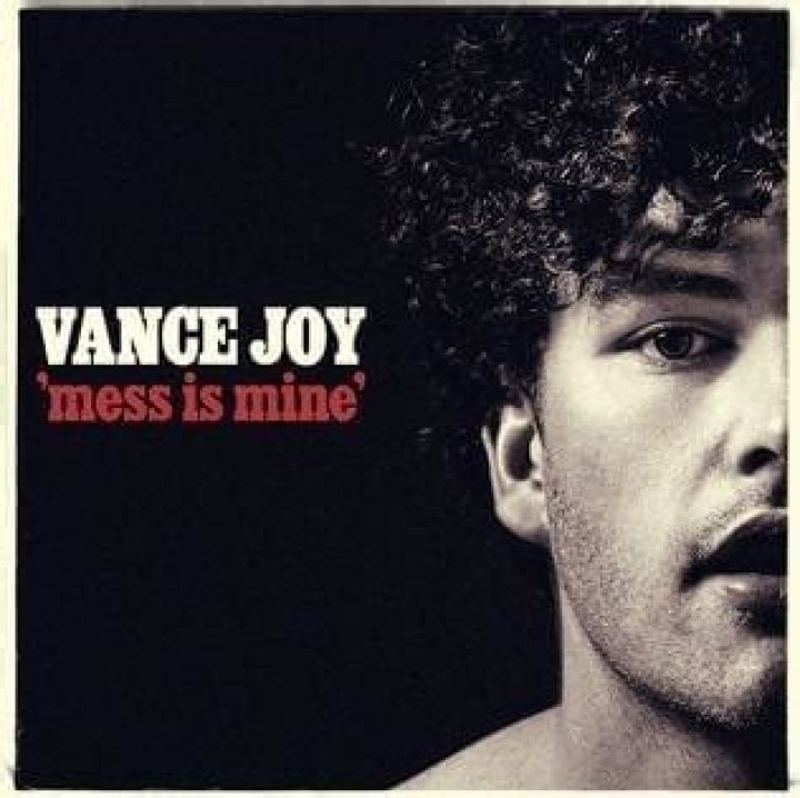 Vance Joy - Mess is Mine Lyrics Meaning
