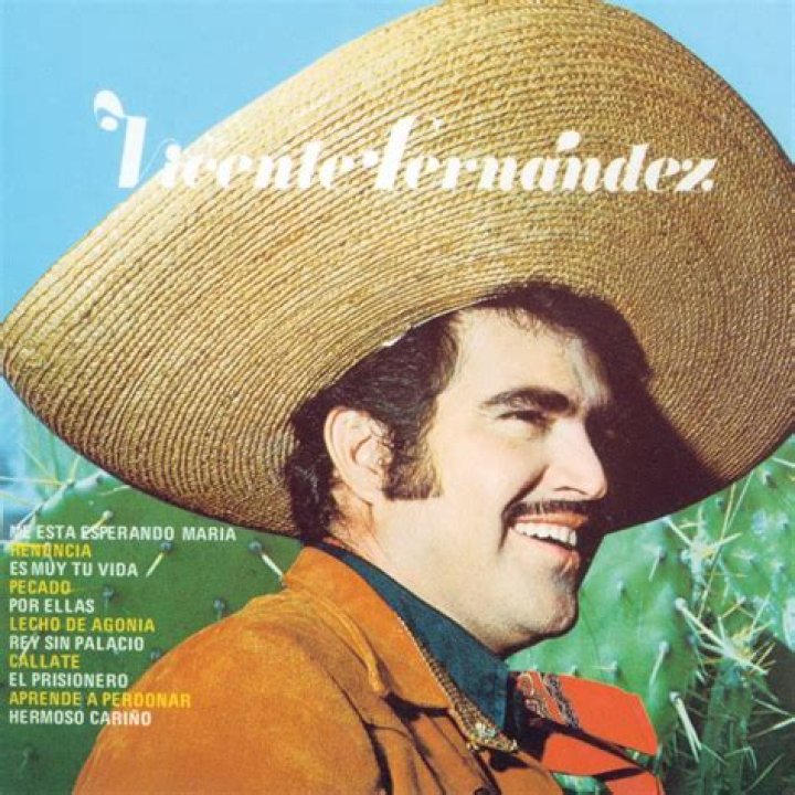 Vicente Fernández Me Está Esperando María Lyrics English Translation