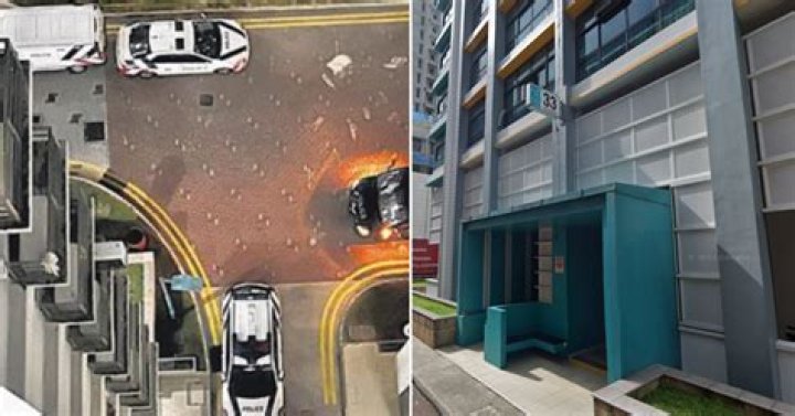 Woman and Infant Found Dead in HDB Flat : Tragic Incident in Eunos