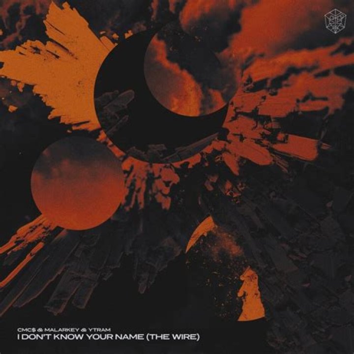 Your the wire lyrics